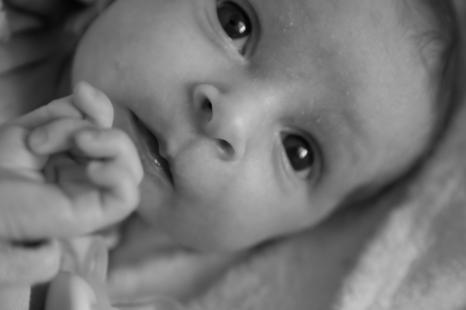 Fotografía newborn en Canyelles